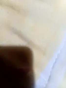 JBSandMON's cam snapshot