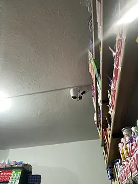 lannabellx live sex cam