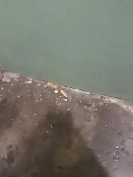 Pajito3000's cam snapshot