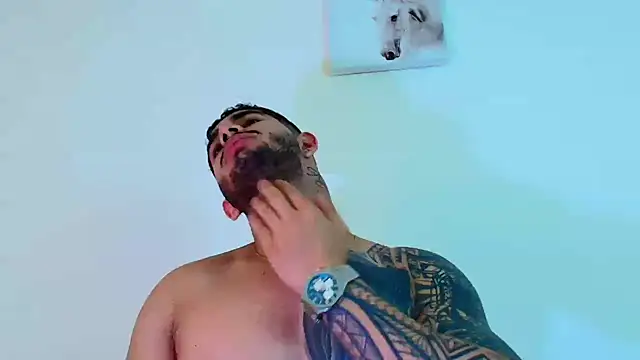 king_falconer's cam snapshot