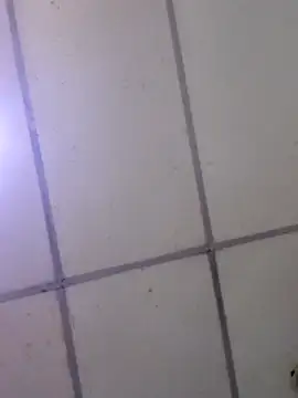 Kimberly_2312's cam snapshot