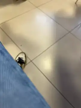 buodiculo live sex cam