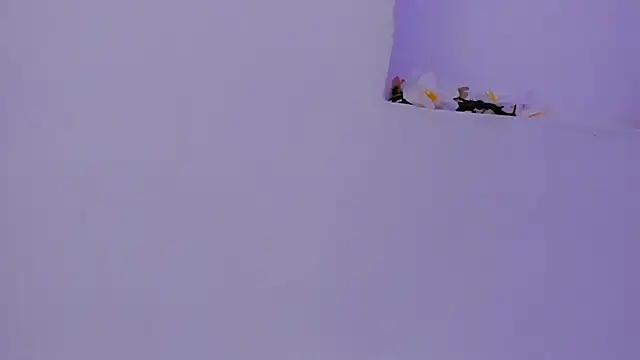 lia_quinn live sex cam