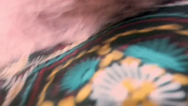 sexylatin_'s cam snapshot