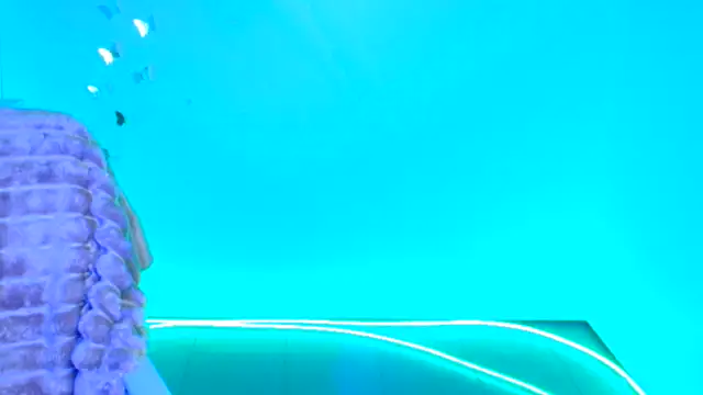 Amanda_Swannn's cam snapshot