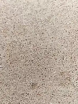 Payal950's cam snapshot