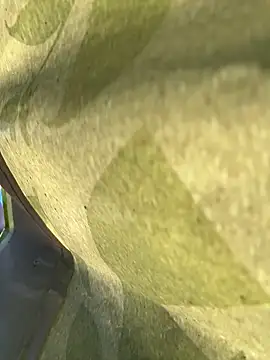 eveangelll live sex cam