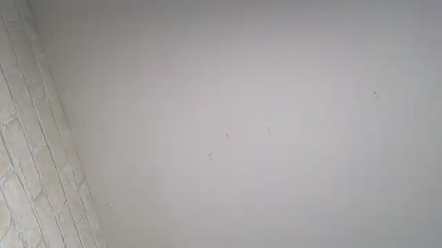 Lily_Luxee's cam snapshot