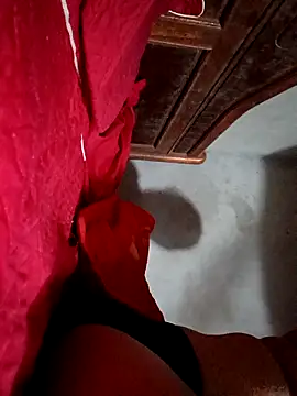 sully2k5's cam snapshot