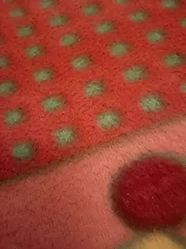 Roughkings's cam snapshot