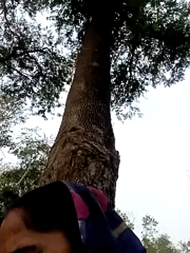 Hot-honi's cam snapshot