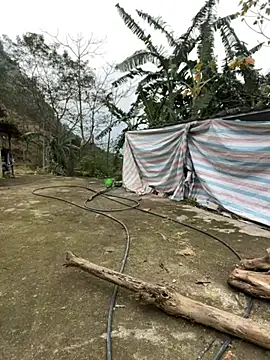 susin-beo's cam snapshot