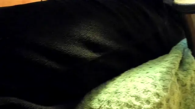 leccaleccafiga's cam snapshot