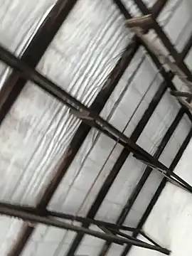 Redfucks333 live sex cam