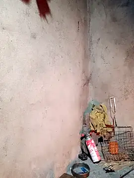 yula-bi's cam snapshot