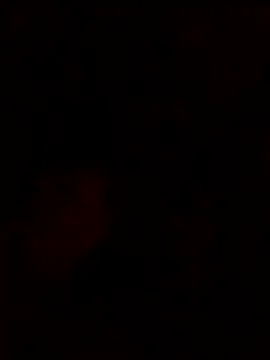 lusy-bae live sex cam