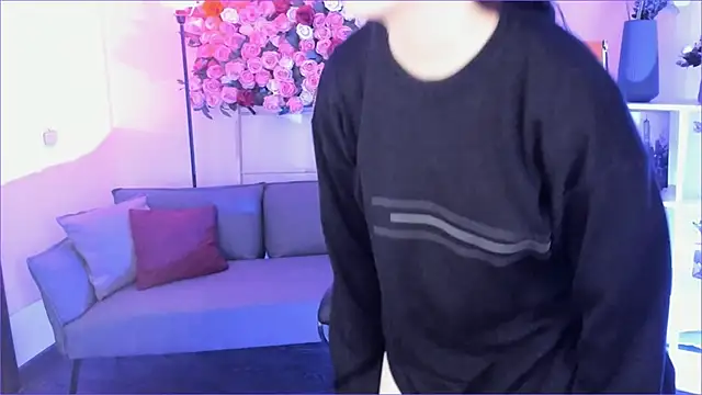 VirtuallVoyant's cam snapshot