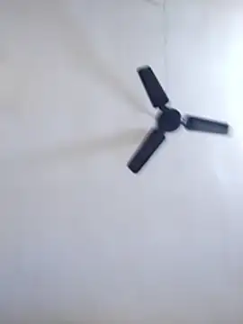 Anki-doll's cam snapshot