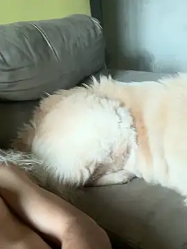 Naldopaugrand live sex cam