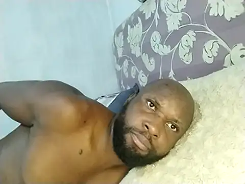 Stallion100 live sex cam