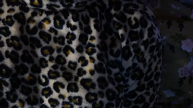 -AyeshaSinghania-'s cam snapshot