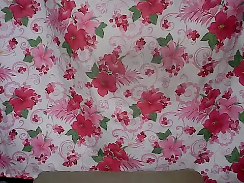 sh1nbae's cam snapshot