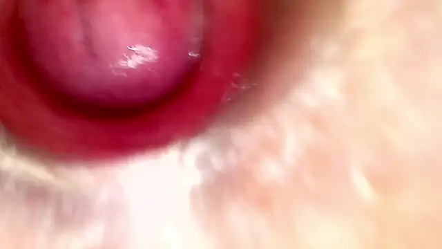 shannon_kinne_'s cam snapshot