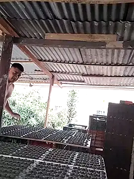 hoteder live sex cam