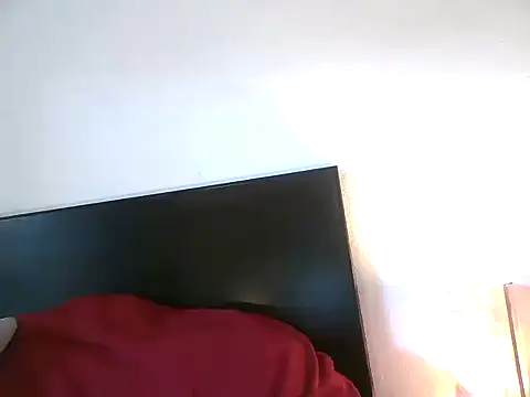 TheGirlWhoStandsUp's cam snapshot