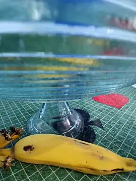 atilaportugalcasado's cam snapshot