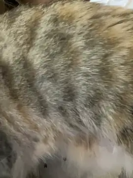 Majic_Maffin's cam snapshot