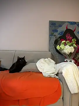 MariaTull live sex cam