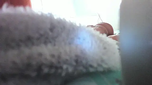 BunnyFoxxxy's cam snapshot