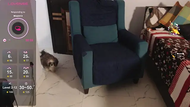 Hell_queen786 live sex cam