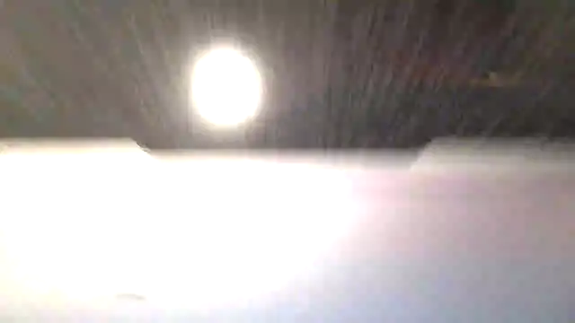 Parleg2 live sex cam