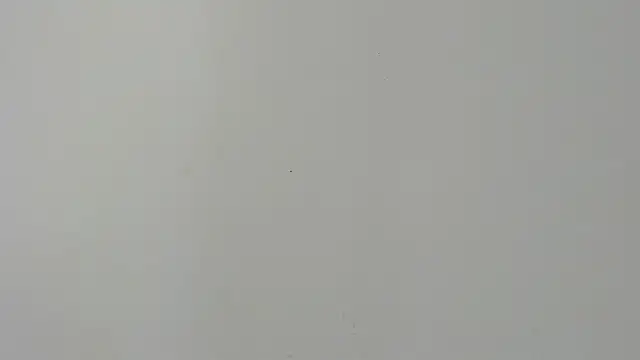 Ladymadinght's cam snapshot