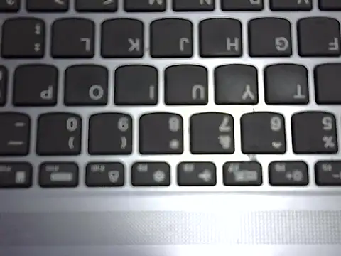 ROSEE_MERRYYYY live sex cam