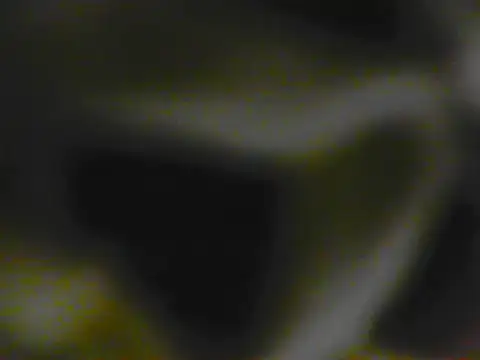 Soniya_singh__'s cam snapshot