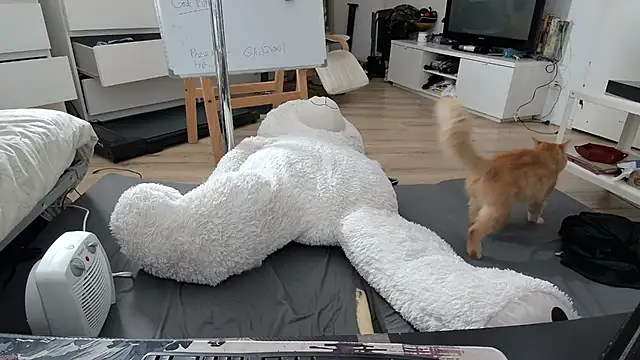 CeriseLapine live sex cam