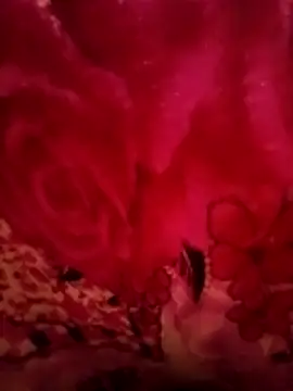 mehedi_hot's cam snapshot