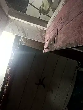 Punam_sing's cam snapshot