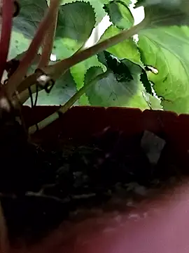 Soli9999's cam snapshot