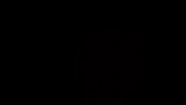 flowernnet's cam snapshot