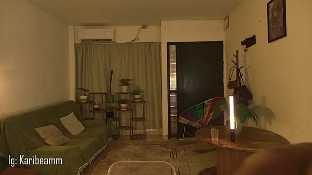 Karibeam's cam snapshot