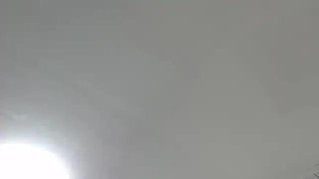 Zaaida_'s cam snapshot