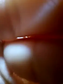 Evehamp live sex cam