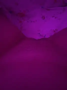 Business_pussy69's cam snapshot