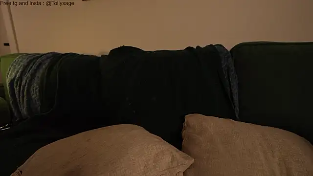 SenSage's cam snapshot