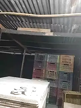 hoteder's cam snapshot