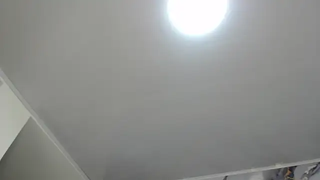 Zaaida_'s cam snapshot